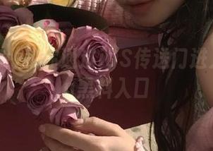 教你通过iOS传送门进入155.su黑料入口