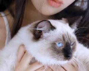 快来51吃瓜欣赏今日吃瓜必吃大瓜蘑菇视频，网址www.51chigua.com