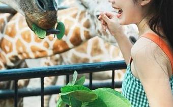 51吃瓜爆料苹果版传送门开启，热辣消息一手掌握