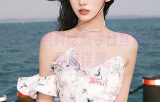 51黑料吃瓜今日官方网站地址导航详解