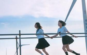 详解zztt21更新计划，永久保障内容丰富