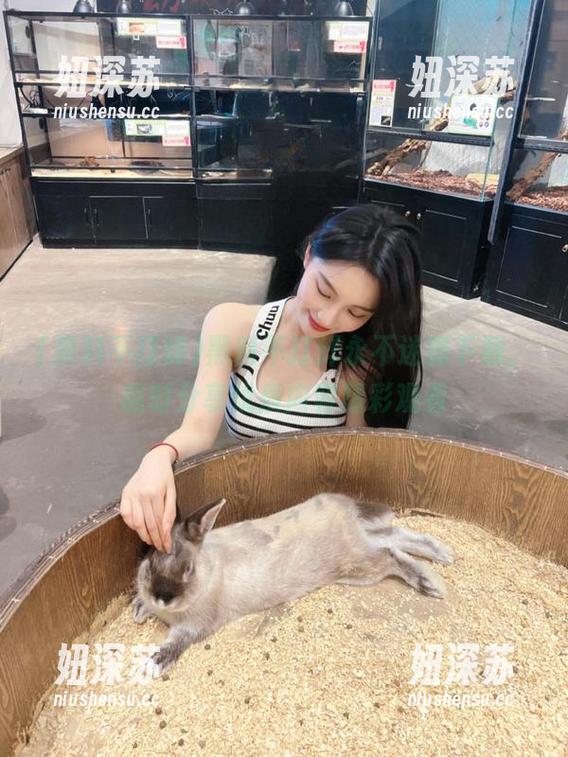 黑料不打烊 黑料不打烊永不迷路下载,随时分享优质内容精彩观看