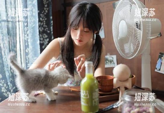 黑料不打烊 黑料不打烊在线观看热门资源快速搜索方法
