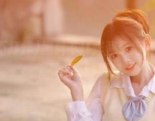 黑料不打烊登录指南，助你永不迷路动漫路