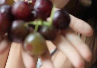 吃瓜网爆料黑料不打烊永久呈现，海量瓜点尽情收藏