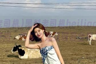 黑料老司机heiliao苹果版如何使用，教你快速获取最全黑料信息