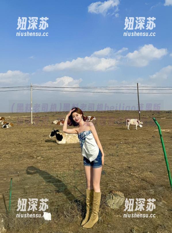 黑料老司机heiliao苹果版如何使用，教你快速获取最全黑料信息